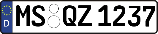 MS-QZ1237