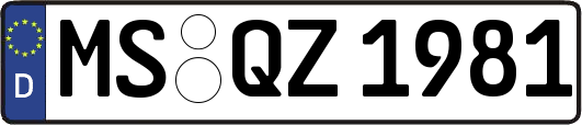 MS-QZ1981