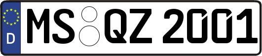 MS-QZ2001