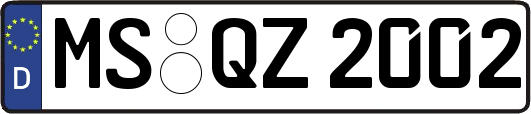 MS-QZ2002