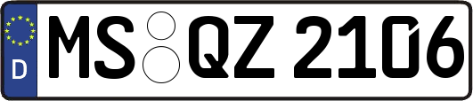 MS-QZ2106