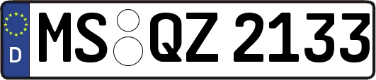 MS-QZ2133