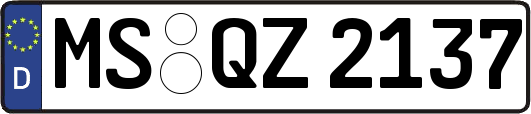 MS-QZ2137