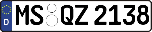 MS-QZ2138