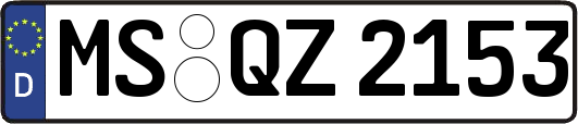 MS-QZ2153