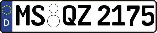 MS-QZ2175