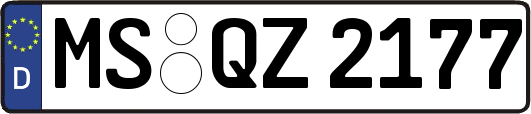 MS-QZ2177