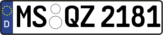 MS-QZ2181