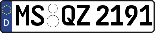 MS-QZ2191