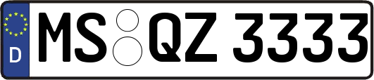 MS-QZ3333