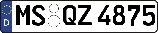 MS-QZ4875