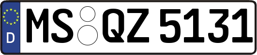 MS-QZ5131