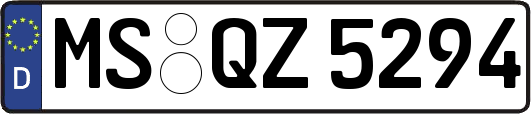 MS-QZ5294