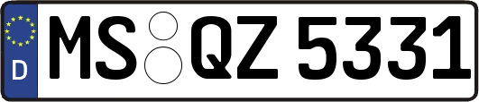 MS-QZ5331