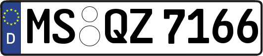 MS-QZ7166