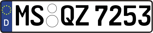 MS-QZ7253