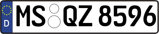 MS-QZ8596
