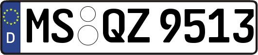 MS-QZ9513