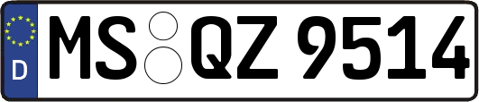 MS-QZ9514