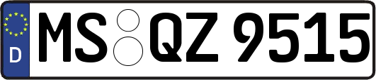MS-QZ9515