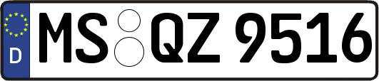 MS-QZ9516