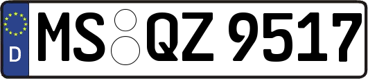MS-QZ9517