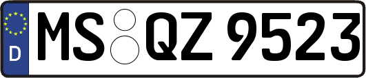 MS-QZ9523