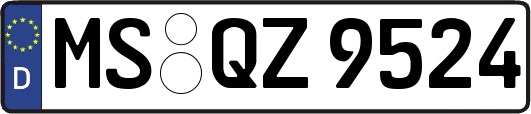 MS-QZ9524