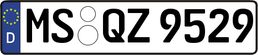 MS-QZ9529