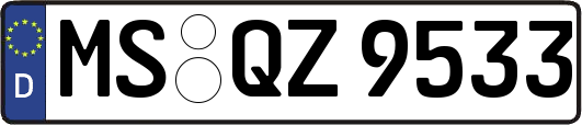 MS-QZ9533