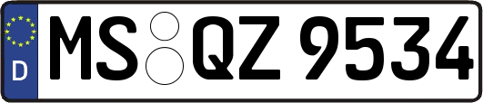 MS-QZ9534