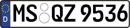 MS-QZ9536