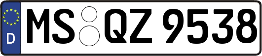 MS-QZ9538