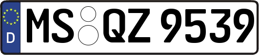 MS-QZ9539