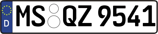MS-QZ9541