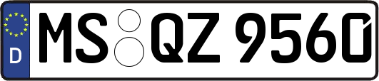 MS-QZ9560