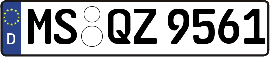 MS-QZ9561