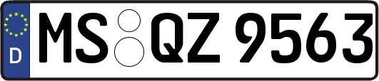 MS-QZ9563