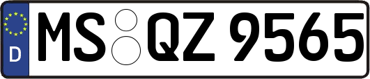 MS-QZ9565