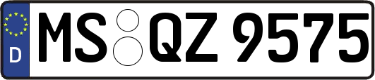 MS-QZ9575