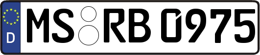 MS-RB0975