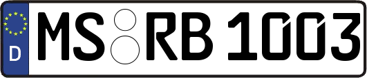 MS-RB1003