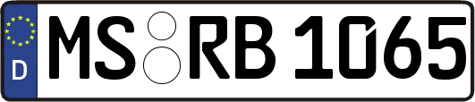 MS-RB1065