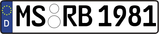 MS-RB1981