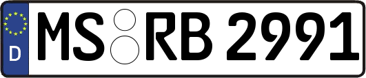 MS-RB2991