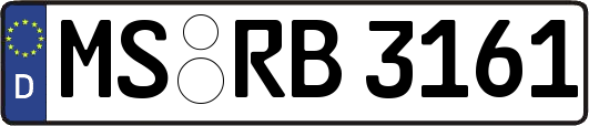 MS-RB3161