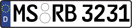 MS-RB3231
