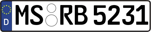 MS-RB5231