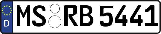 MS-RB5441
