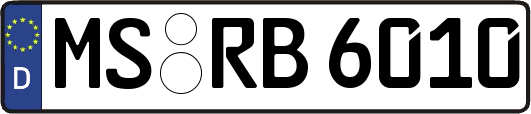 MS-RB6010